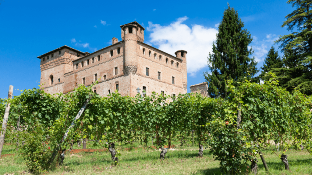 Town and castle visits with the private tour guide in Alba and around Turin, Italy.