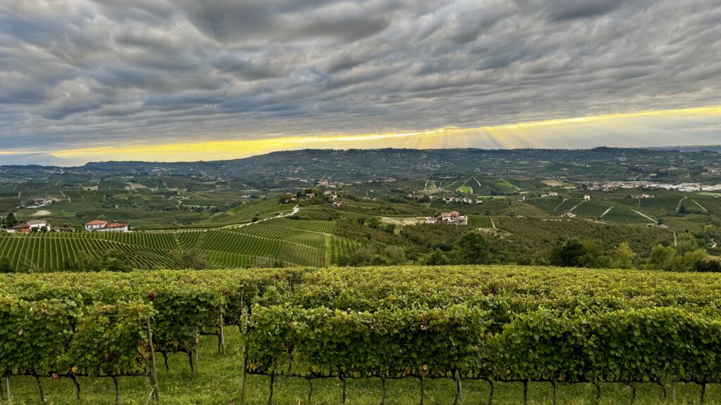 Langhe vineyards drone video in Piedmont
