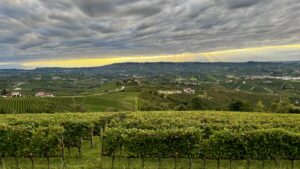 Langhe vineyards drone video in Piedmont