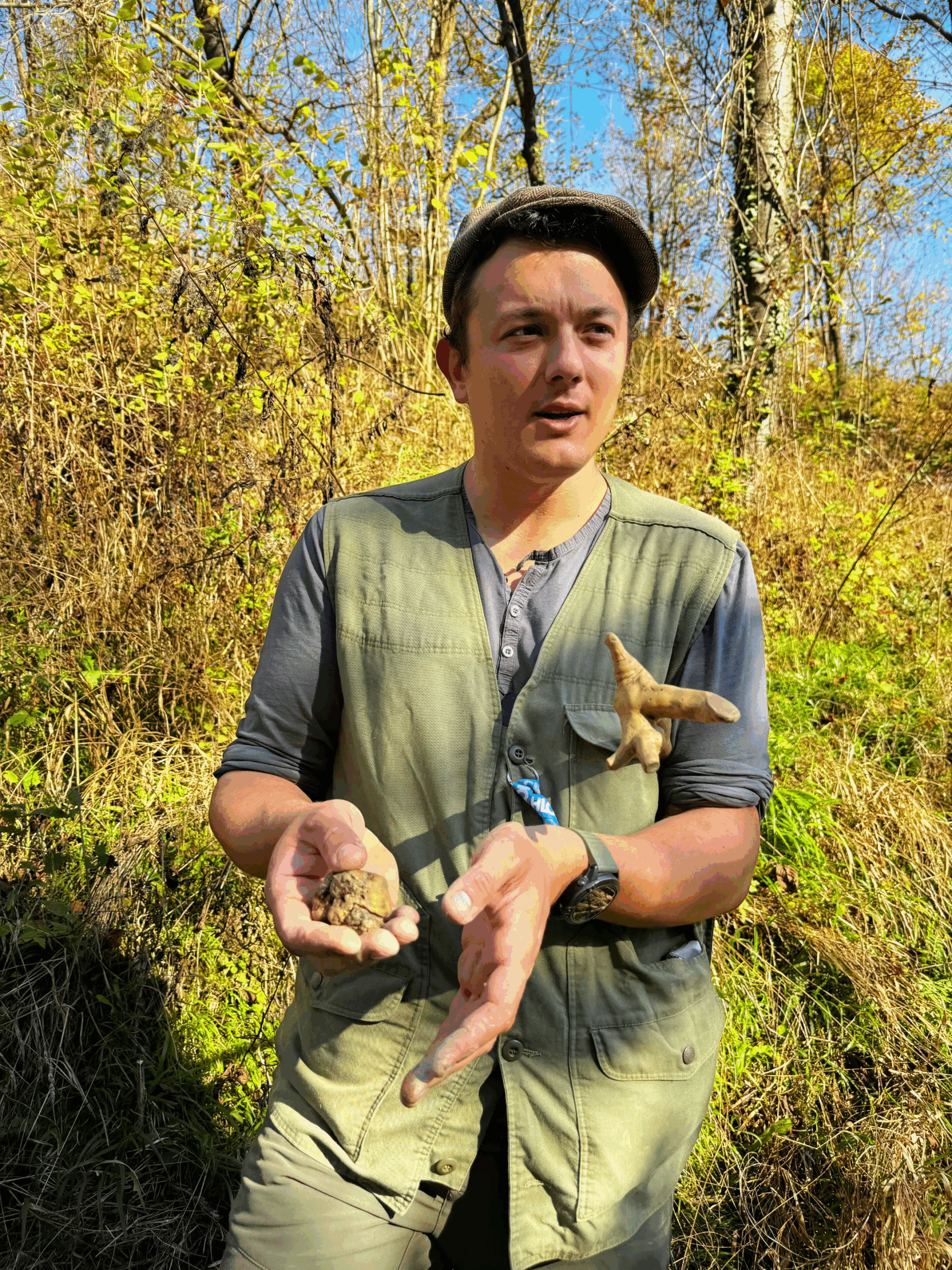 Truffle hunter and dog searching for white truffles near La Morra and Barolo in the Langhe hills