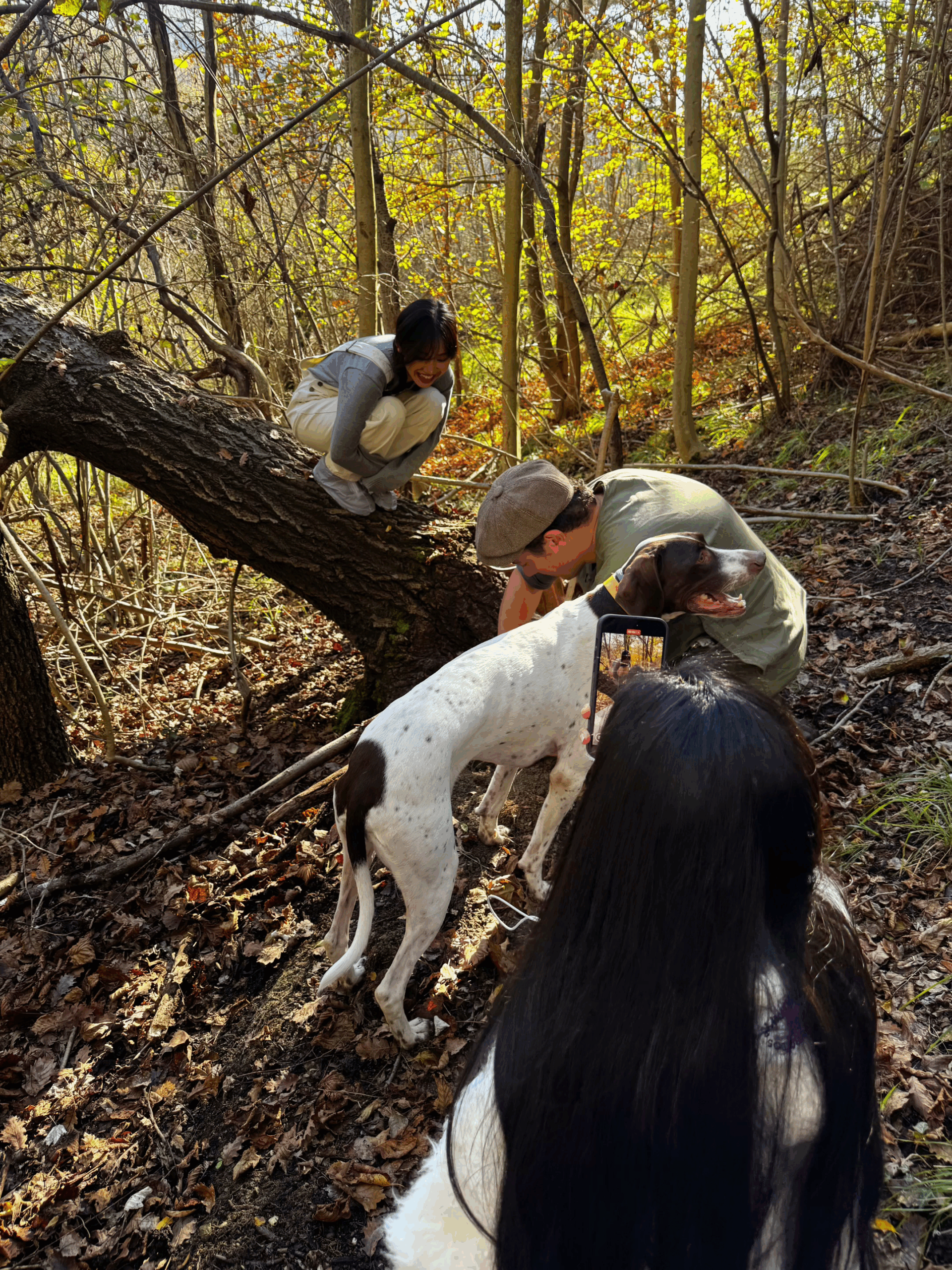 Guests and dogs ready to start truffle hunting in Barolo hills with local trifulau