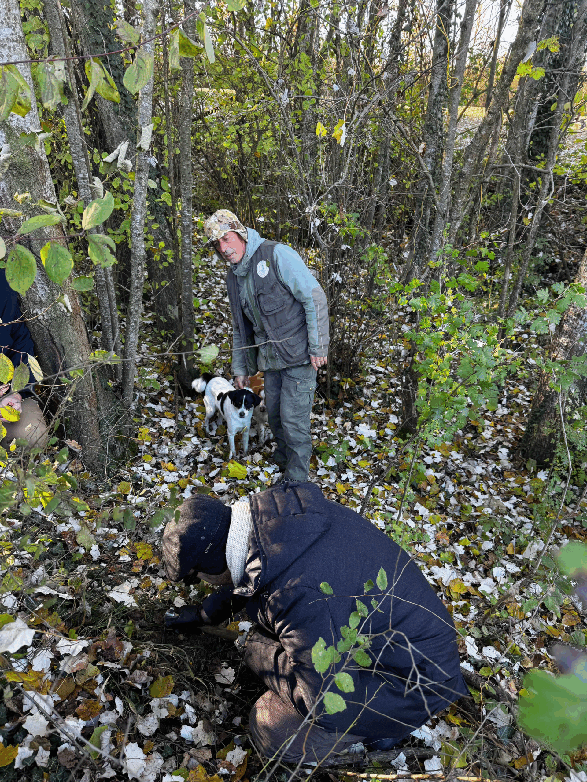 Guests on a truffle hunting experience in Alba forest with local trifulau and dog