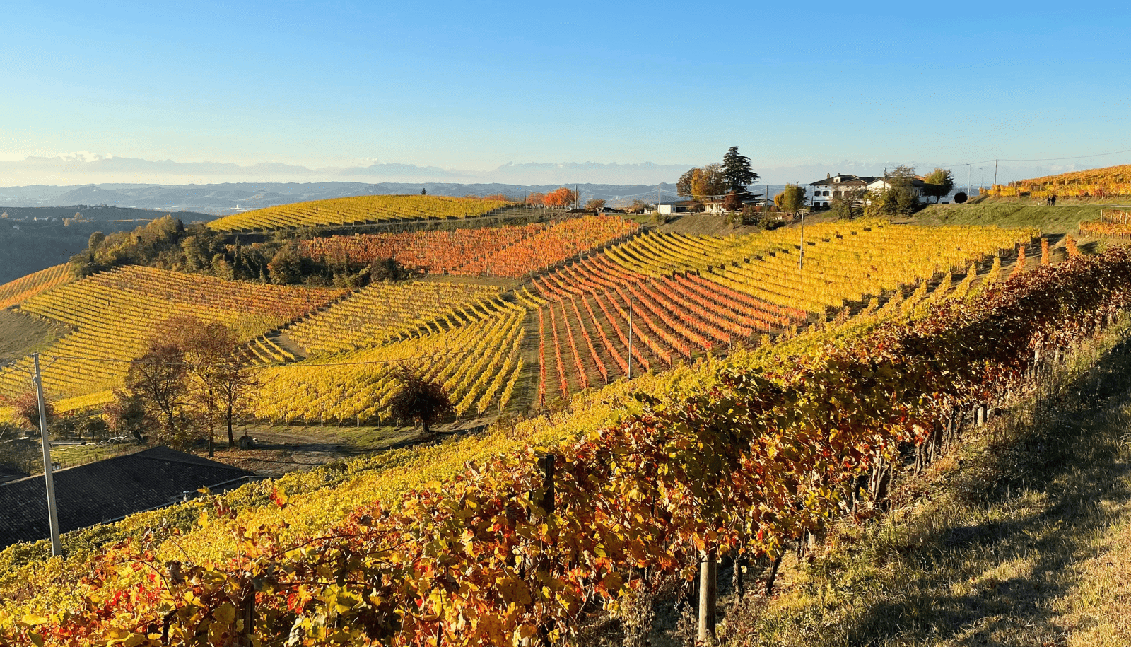 Langhe hills panorama