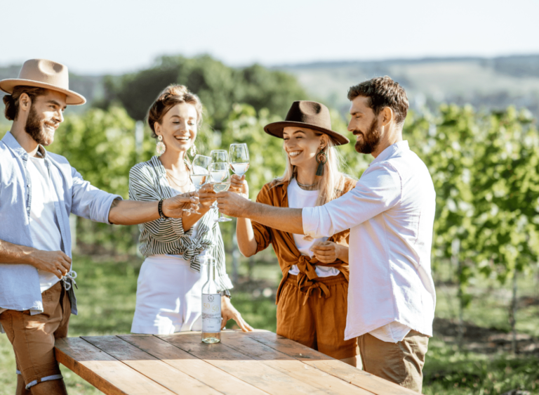 Taste delicious wines